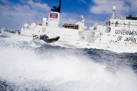  Sea Shepherd