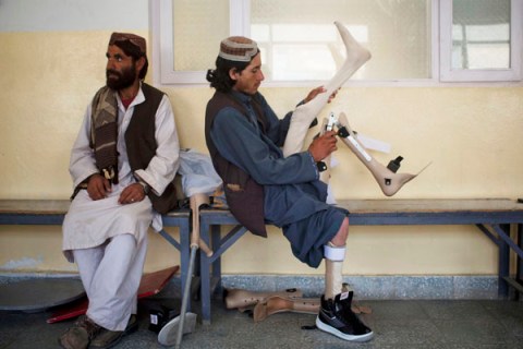 afghanistan polio