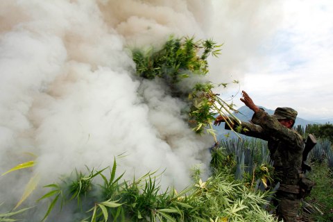 Can Obama and Peña Nieto Clear the Marijuana Smoke?