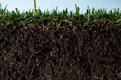 image: soil