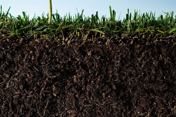 What are the most fertile soils around the world?