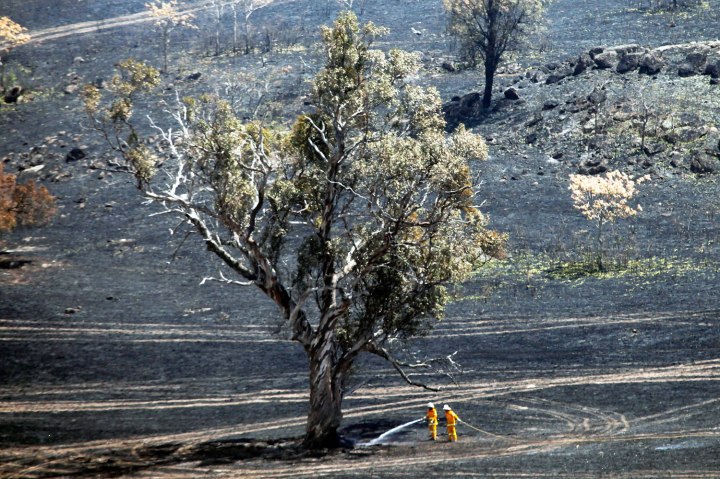 Wildfires Scorch Australia As Temperatures Reach Record Highs