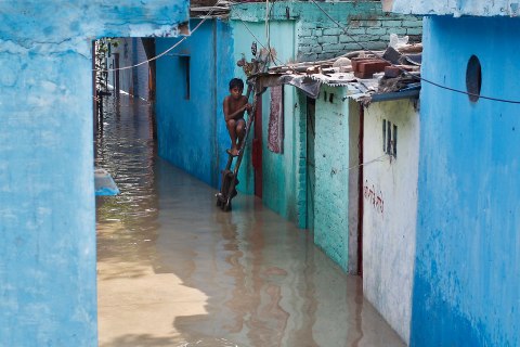 A boy sits on a ladder next to his flooded house with the rising water level of river Yamuna after heavy monsoon rains in New Delhi June 19, 2013. 