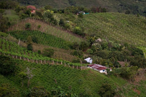 Farmland in a rural area of Ginebra, Valle del Cauca departament, Colombia, on May 9, 2013.