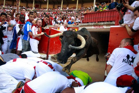 A fighting cow leaps over revelers into the bull ring after the fourth running of the bulls at the San Fermin festival in Pamplona