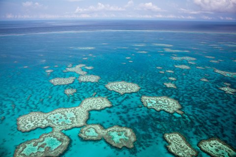 An aerial view of the Great Barrier Reef near the Whitsunday Islands in Queensland, Australia.