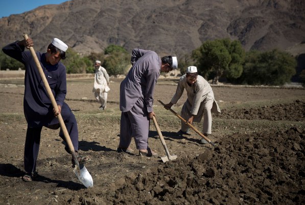 Afghanistan’s Record Opium Year | TIME.com