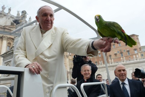 Pope Francis holds a parrot shown by a pilgrim as he arrives for his general audience at St Peter's square on January 29, 2014 at the Vatican.