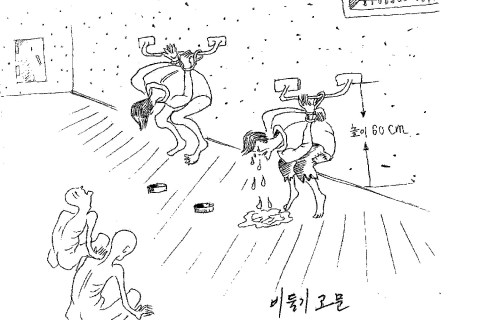 coi-dprk-drawings-page_1