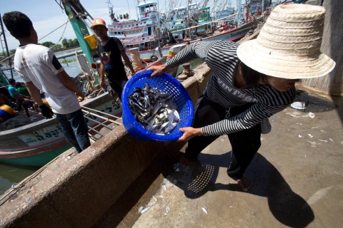 Thailand Fishing Industry